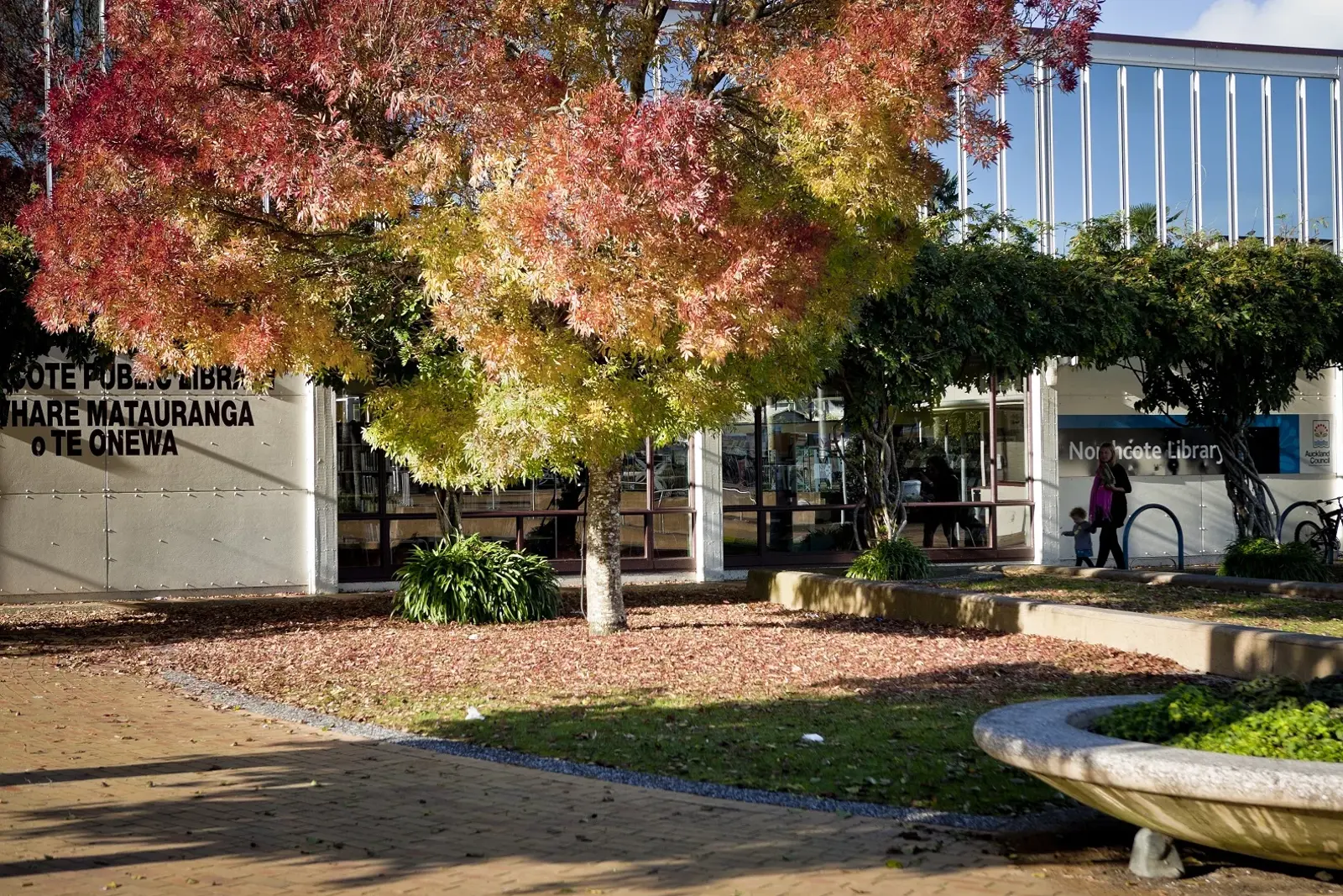 Northcote Community Hub2