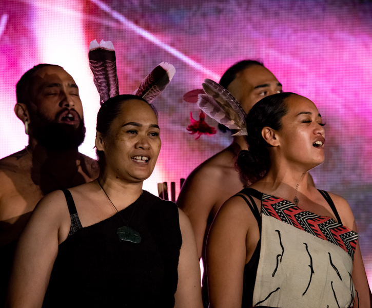 Matariki Manukau 8519