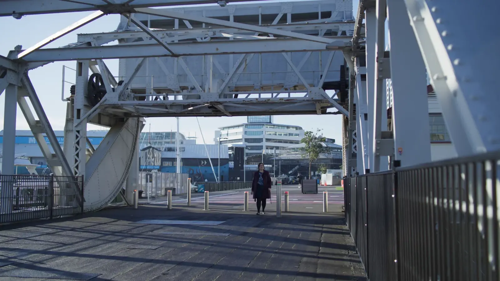 Protecting Tāmaki Makaurau : Auckland's Heritage2