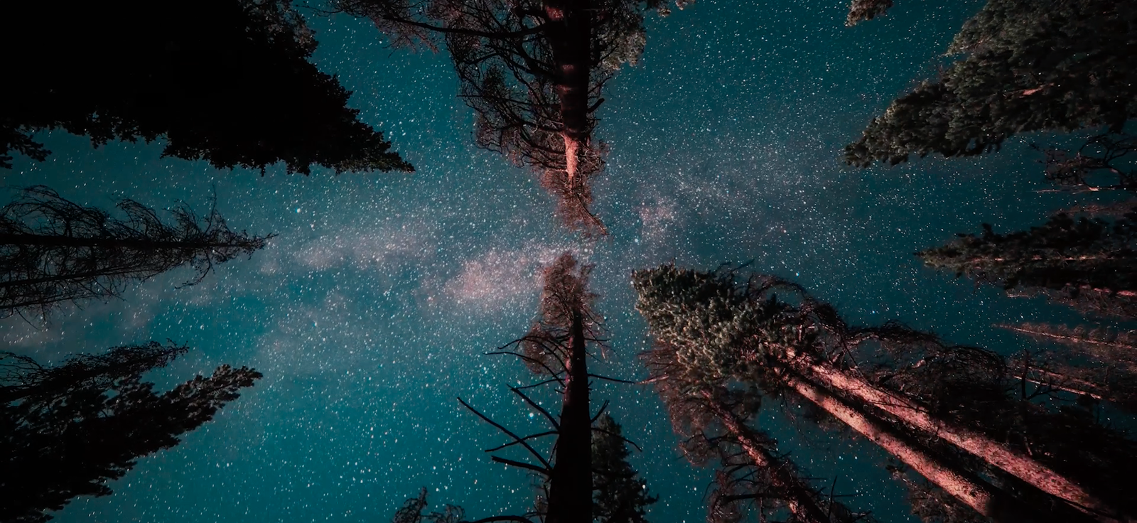 Matariki Video