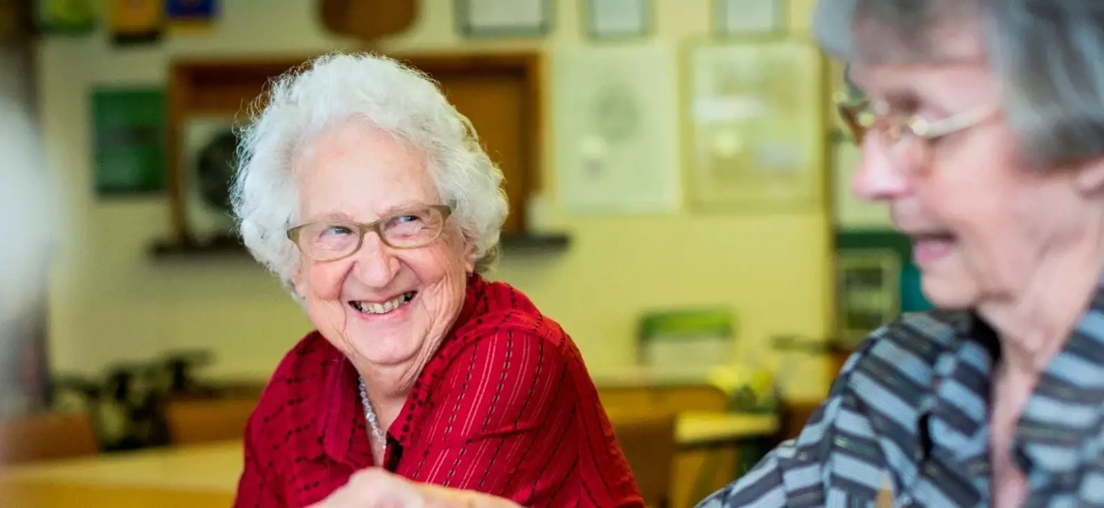 Housing For Older Aucklanders