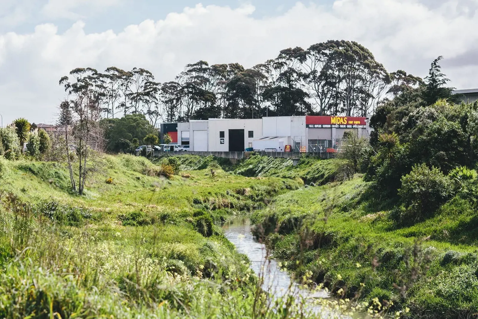 Waiohua Iwi Lead Collaborative Approach To Puhinui Stream Regeneration 6