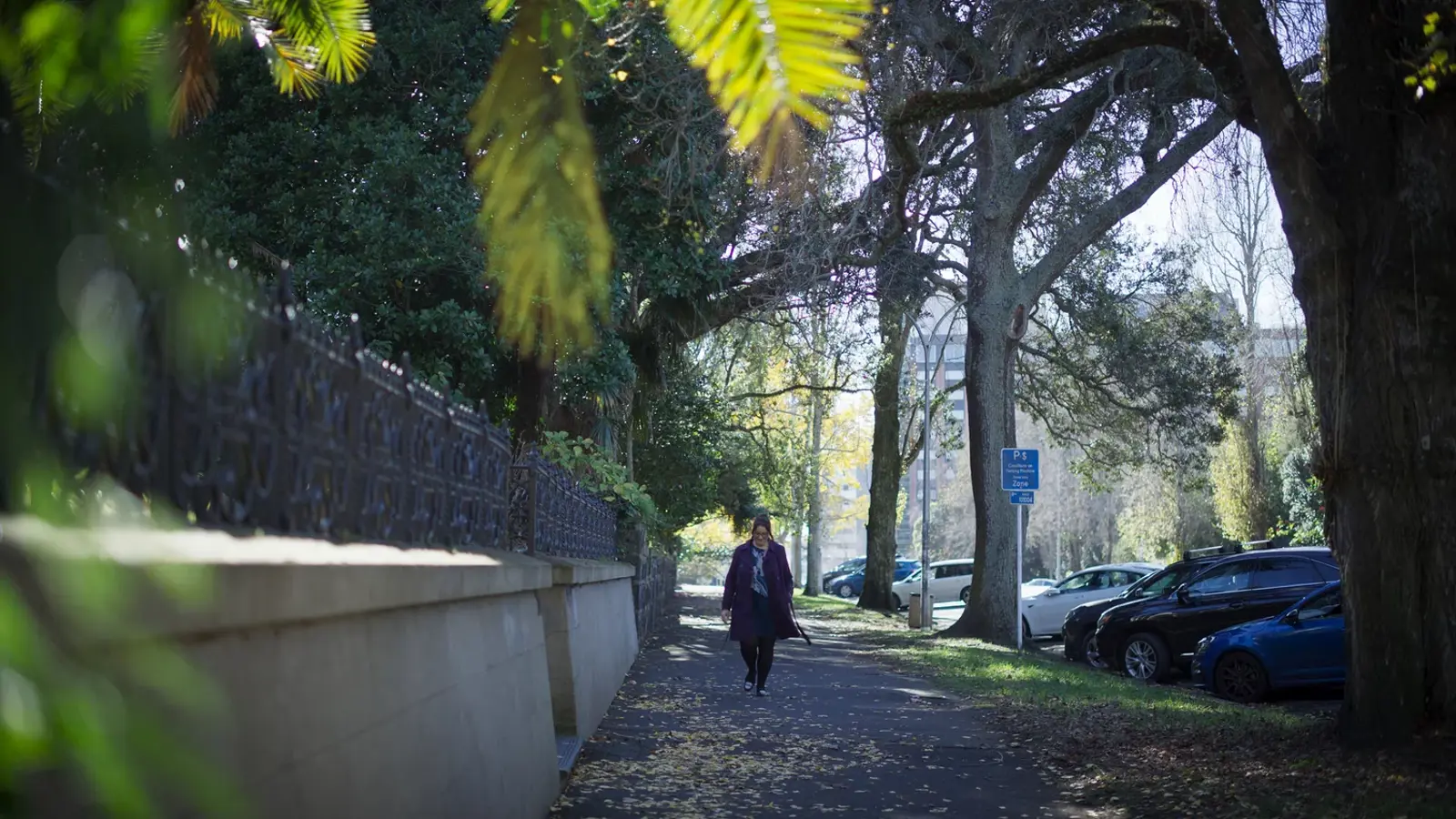 Protecting Tāmaki Makaurau : Auckland's Heritage5