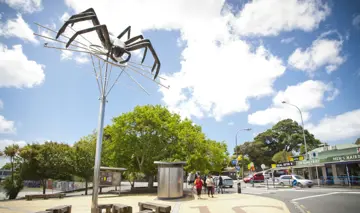 Avondale Spider