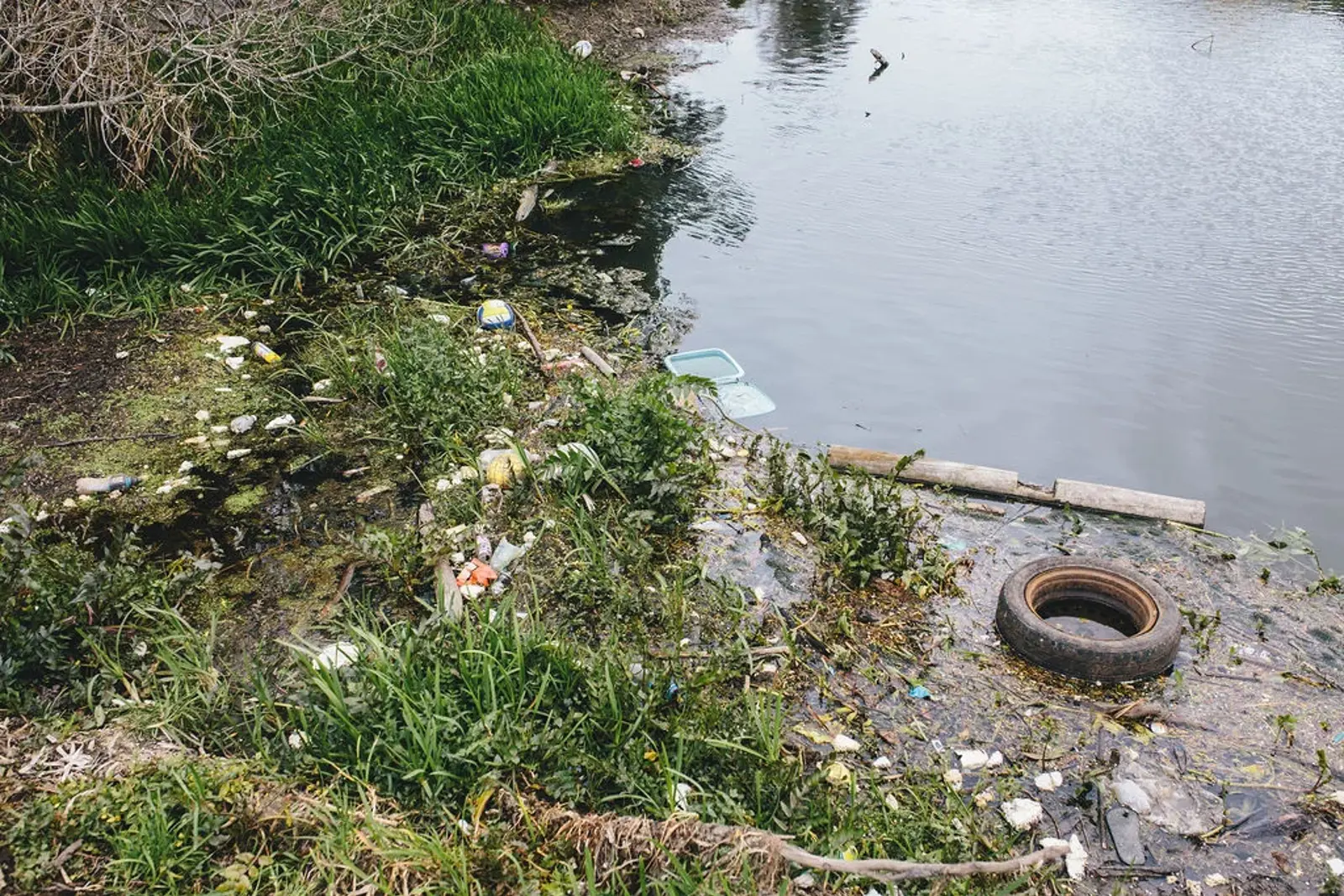 Protecting The Puhinui From Lockdown Litter3