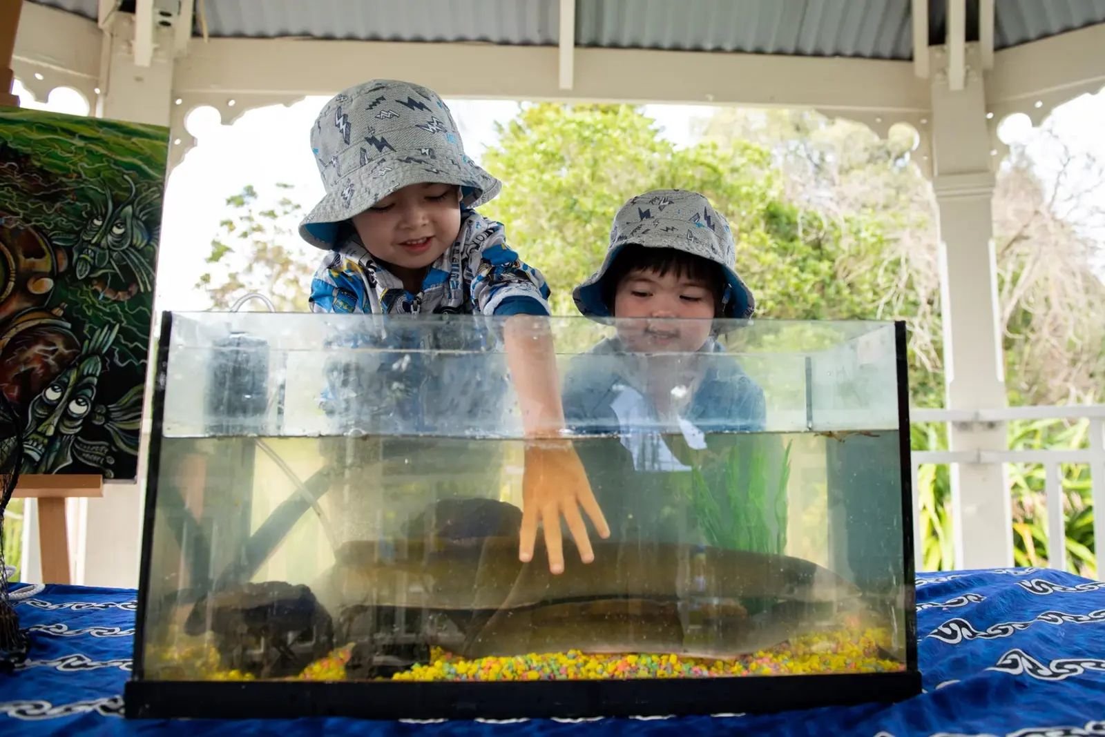 Tickling Tuna (Eels) At Freshwater Frenzy3