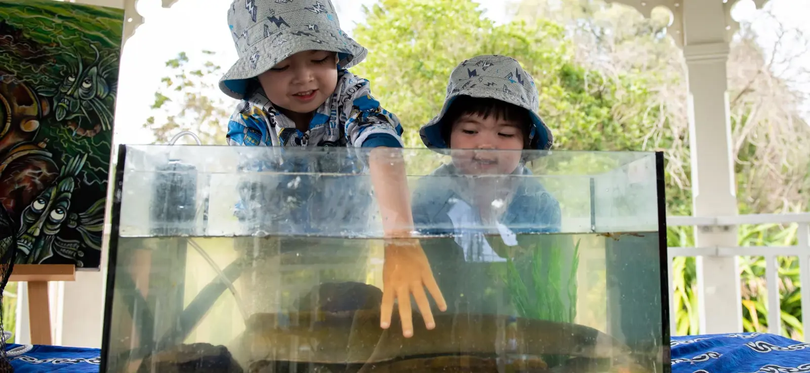 Tickling Tuna (Eels) At Freshwater Frenzy3