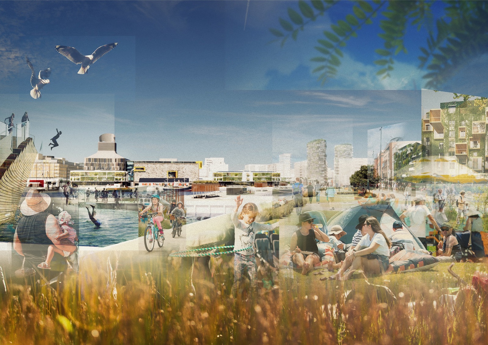 Te Ara Tukutuku Hero 2 Daytime Park Render