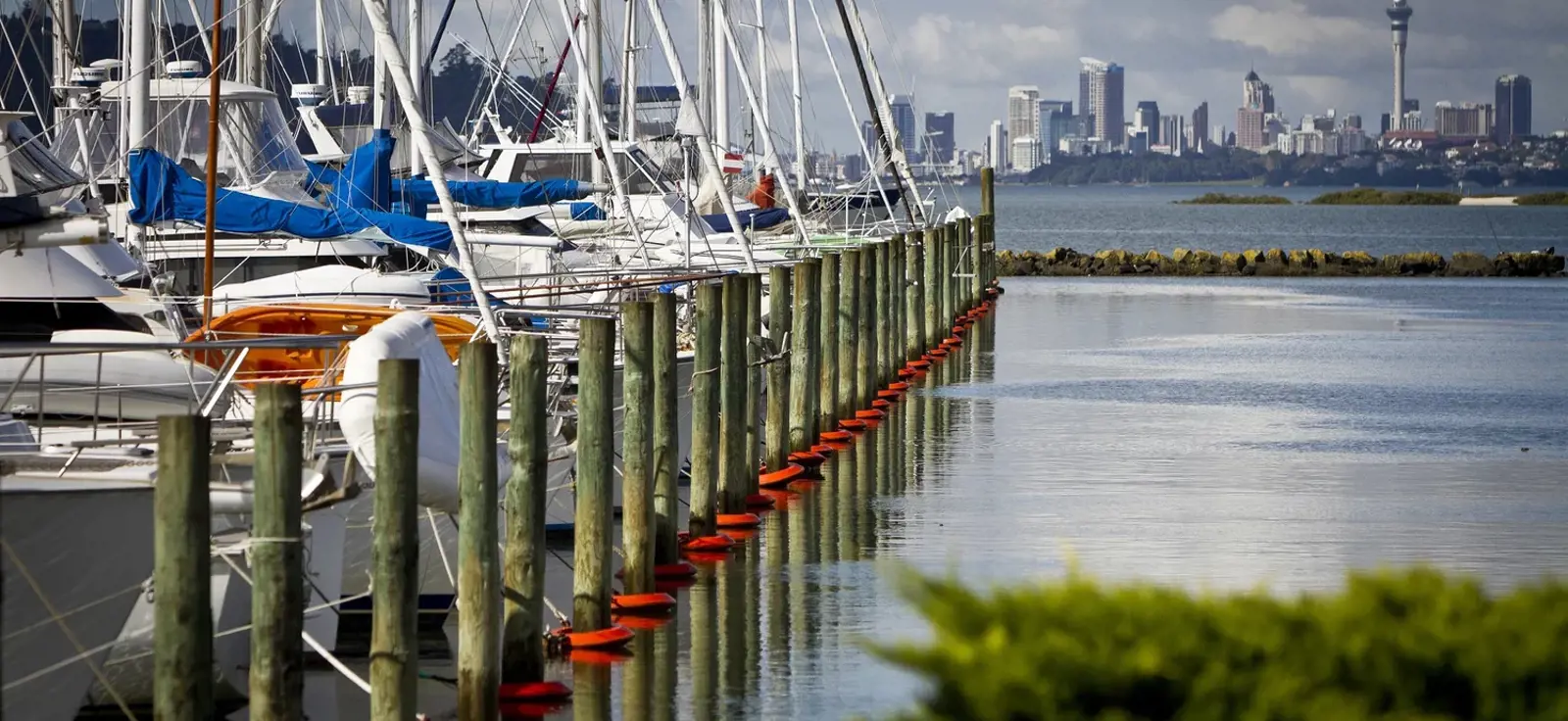 Hobsonville 2