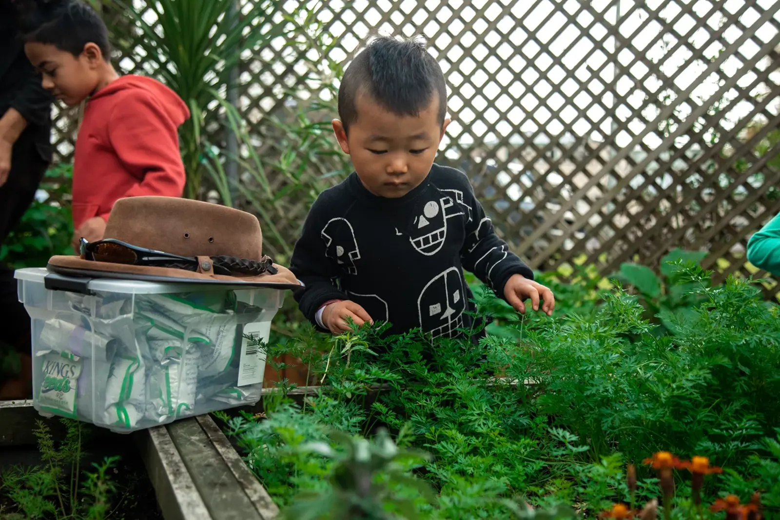 Gardening 8