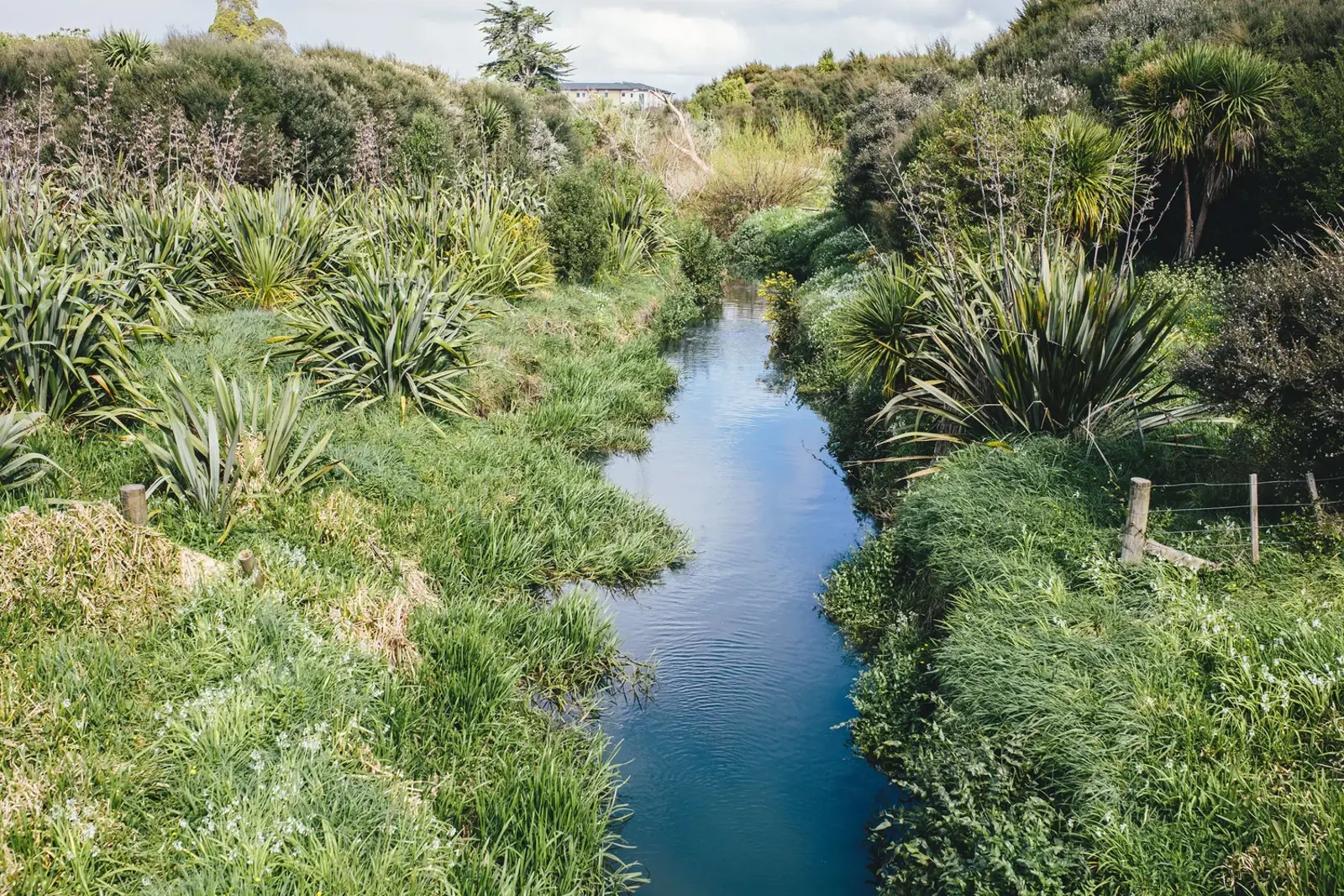 Waiohua Iwi Lead Collaborative Approach To Puhinui Stream Regeneration 2