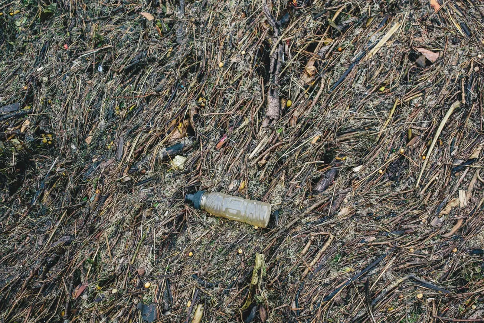 Protecting The Puhinui From Lockdown Litter