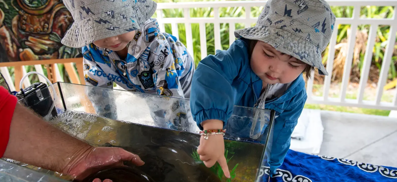 Tickling Tuna (Eels) At Freshwater Frenzy