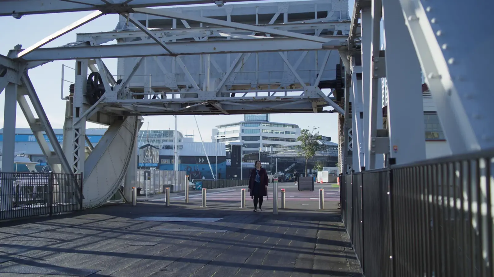 Protecting Tāmaki Makaurau : Auckland's Heritage10