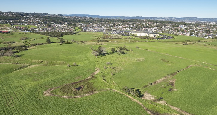 Te Aka Raataa Site Aerial Shot