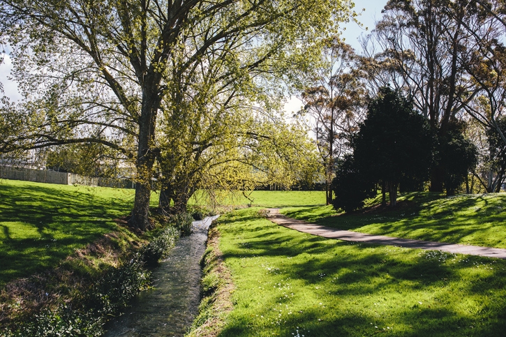 Puhinui Stream 8